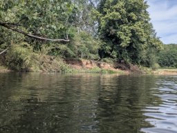 Mainschwimmen Juni 2026